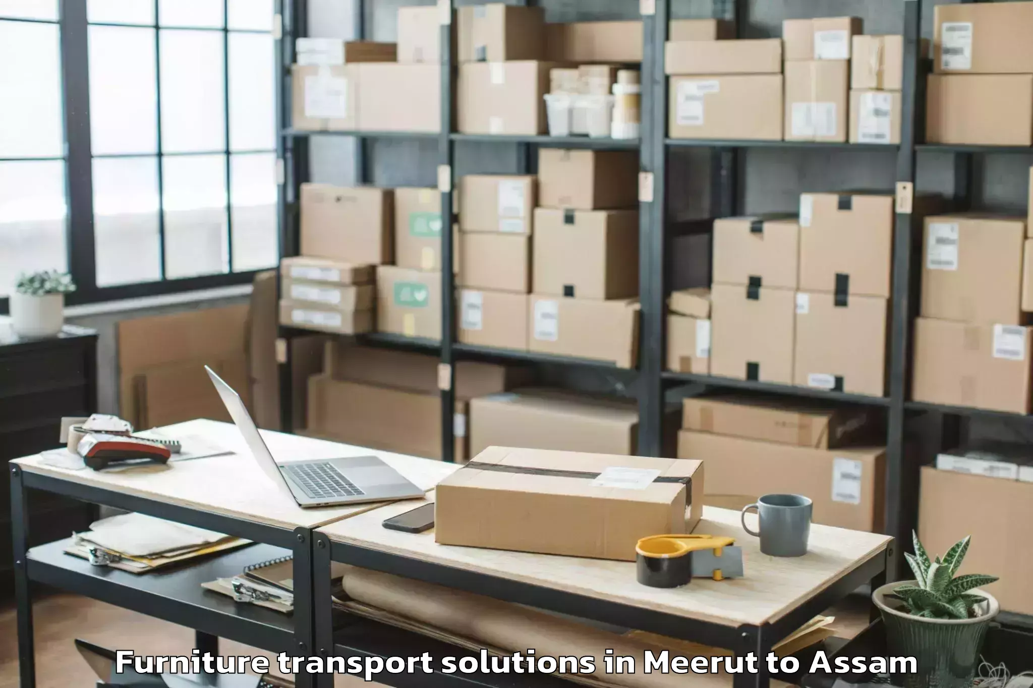 Book Meerut to Helem Furniture Transport Solutions